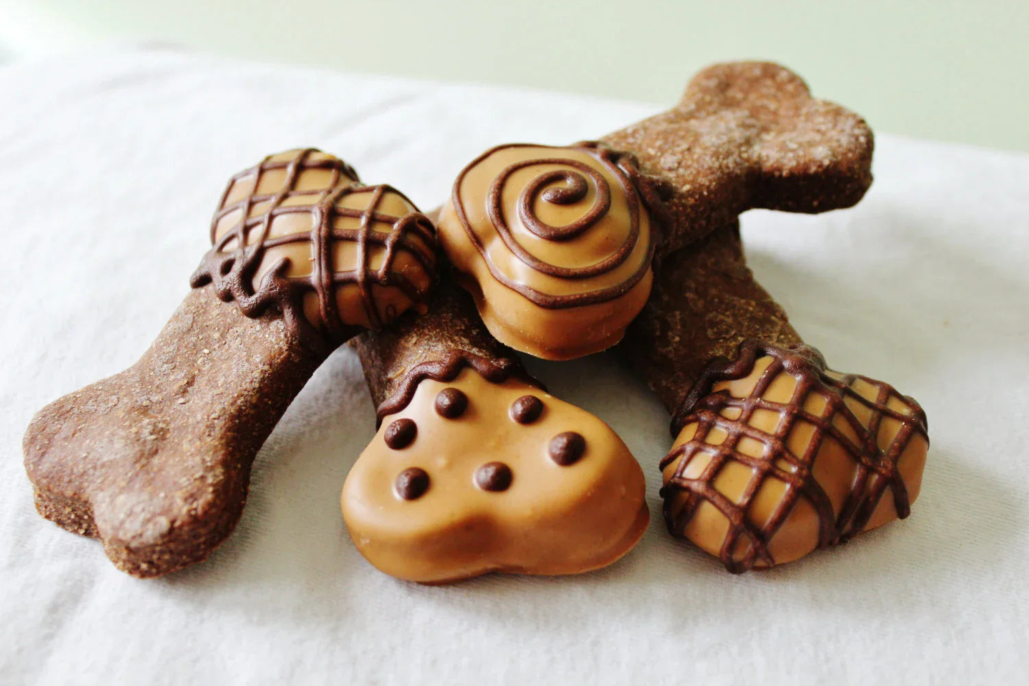 Treats & Chews