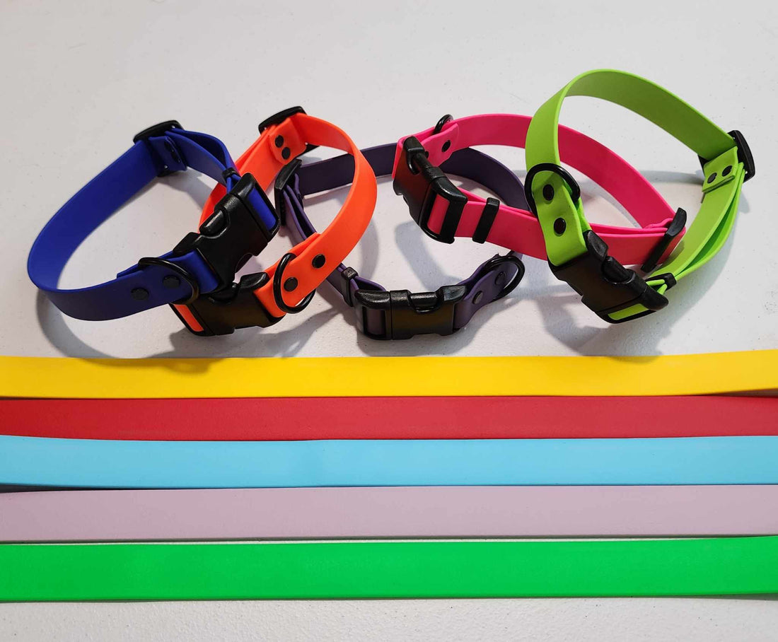 Bungee Snap Collar