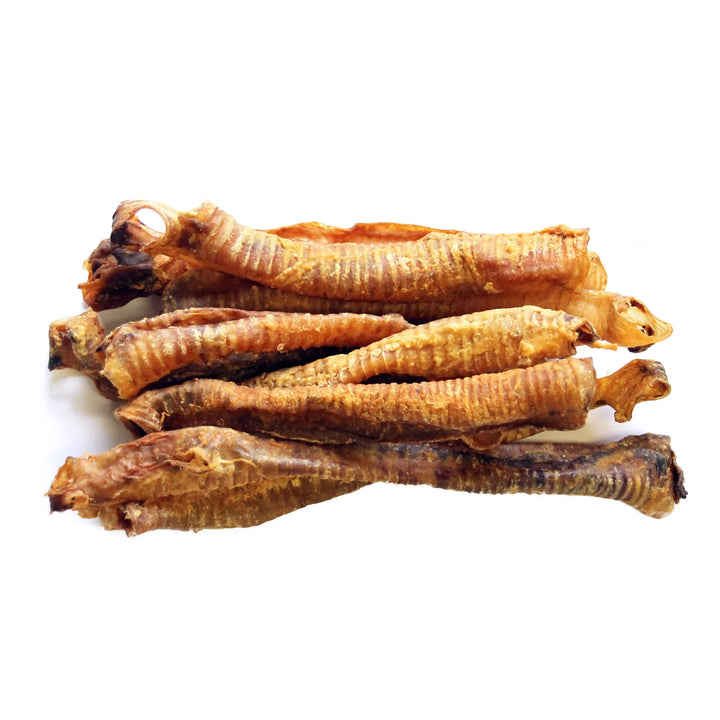 Lamb Trachea