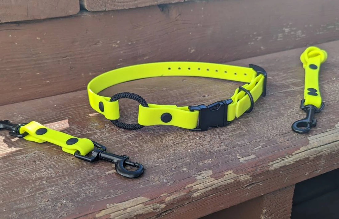 Bungee Snap Collar