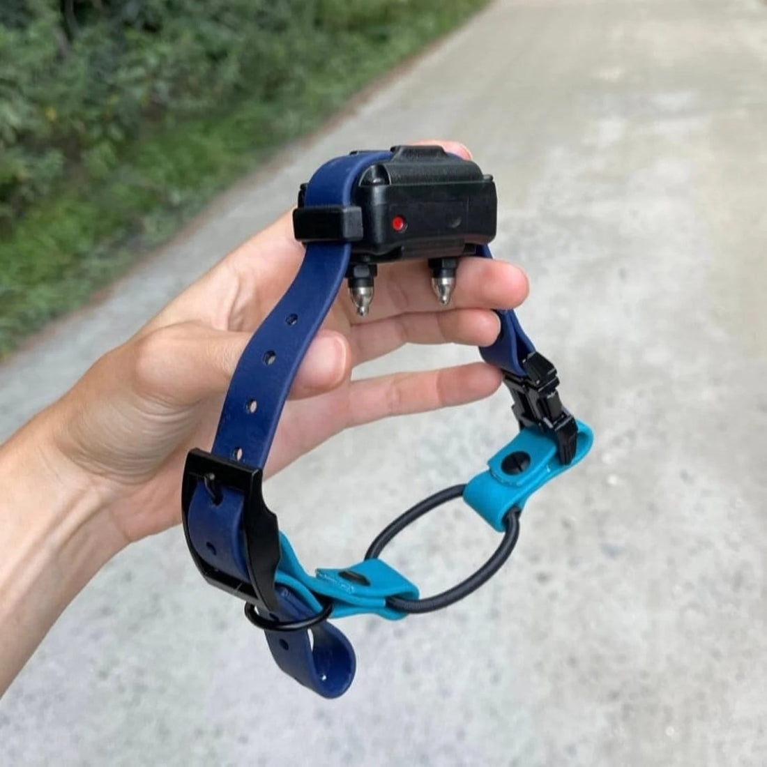 Bungee Snap Collar