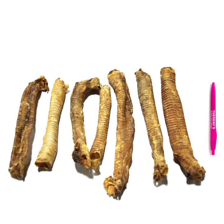 Lamb Trachea